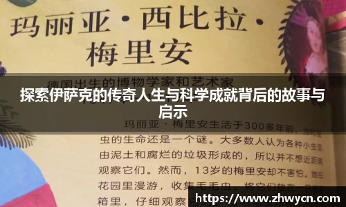 WE真人视讯