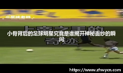 WE真人视讯平台